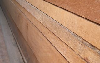 harga kayu damar laut