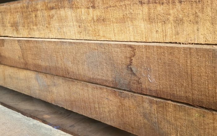 Kayu Kamper