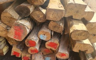 KAYU LABAN 1