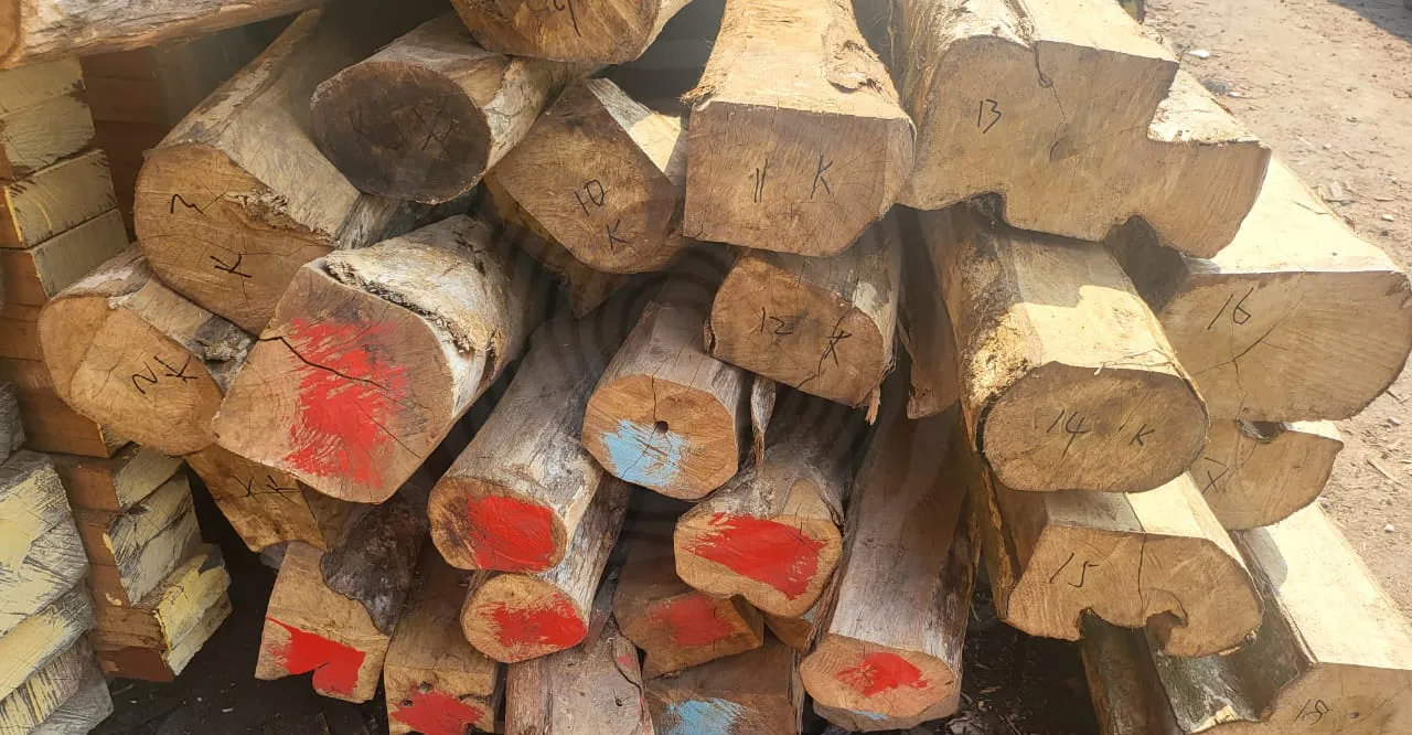 KAYU LABAN 1