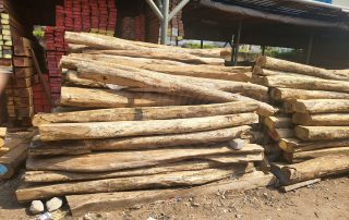 KAYU LABAN 2