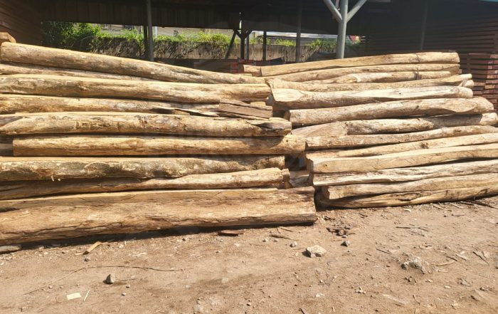 harga kayu laban