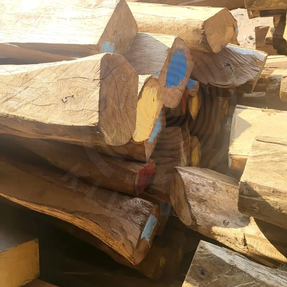 KAYU LABAN GADING 4 KAYU LABAN GADING 4