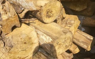 KAYU LABAN GADING 5