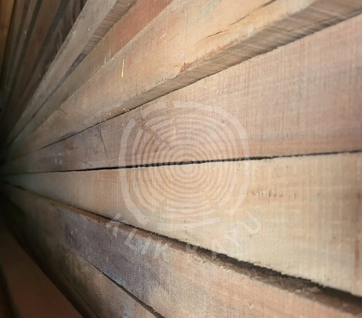 jual kayu kulim jakarta