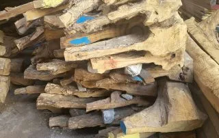 SIKU AKAR 320x202