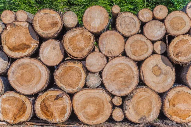 harga kayu meranti 1
