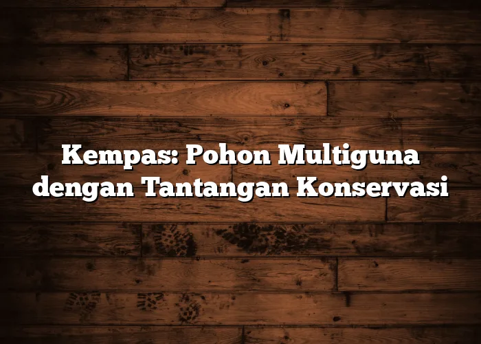 Kempas: Pohon Multiguna dengan Tantangan Konservasi