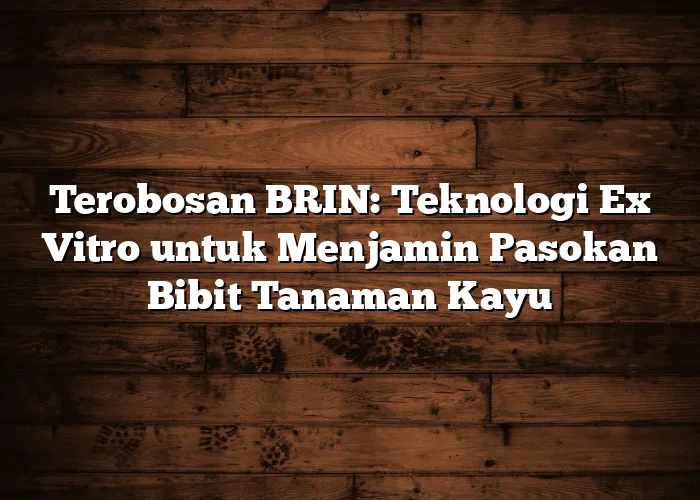 Terobosan BRIN: Teknologi Ex Vitro untuk Menjamin Pasokan Bibit Tanaman Kayu