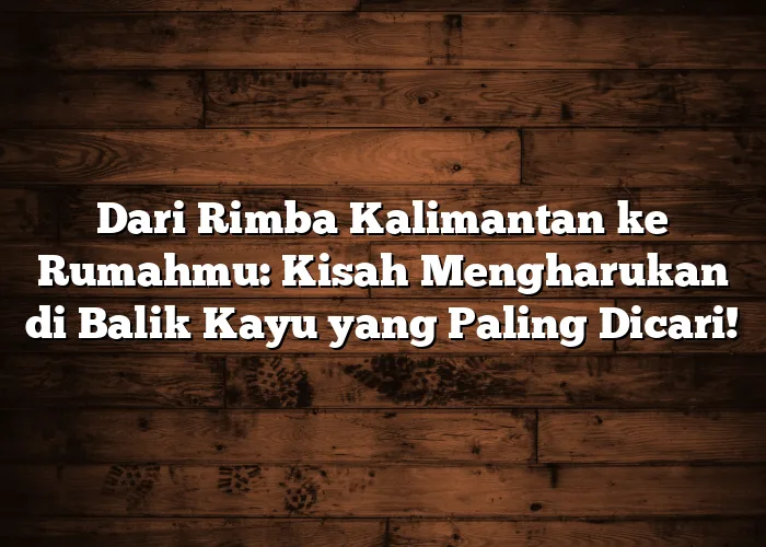 Dari Rimba Kalimantan ke Rumahmu: Kisah Mengharukan di Balik Kayu yang Paling Dicari! Dari Rimba Kalimantan ke Rumahmu: Kisah Mengharukan di Balik Kayu yang Paling Dicari!