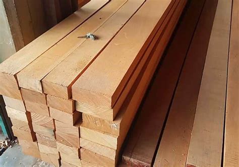 Harga Kayu Bengkirai Per Batang Per Kubik Dll Terbaru