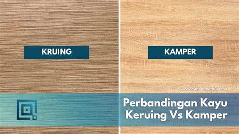 bagus mana antara kayu kamper vs kayu kruing