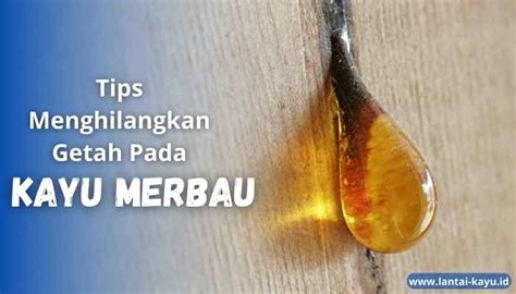 cara menghilangkan getah kayu kruing