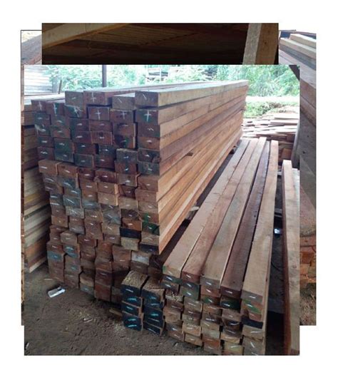 harga-kayu-kempas-per-batang harga kayu kempas per batang