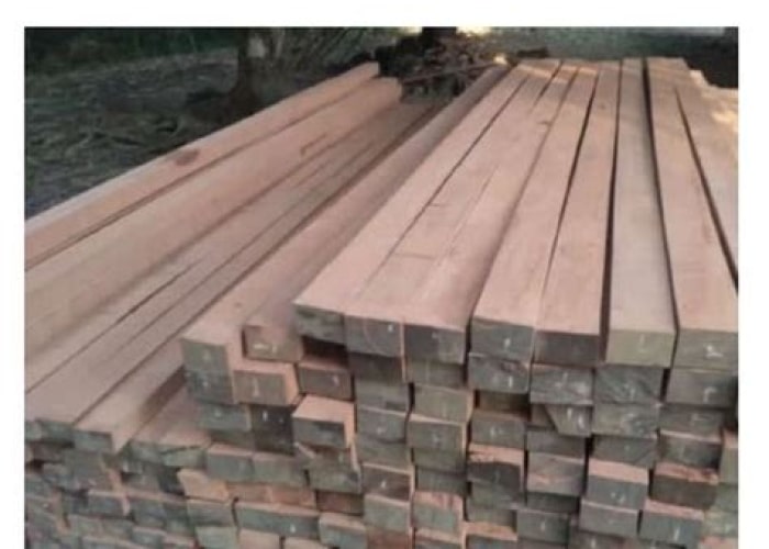 Harga Kayu Kruing 8×12: Daftar Harga Terbaru dan Tips Membeli Harga Kayu Kruing 8×12: Daftar Harga Terbaru dan Tips Membeli