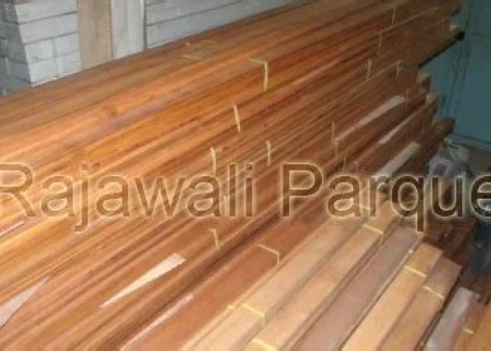 Harga Kayu Kruing di Bali: Panduan Lengkap & Update Terbaru Harga Kayu Kruing di Bali: Panduan Lengkap & Update Terbaru