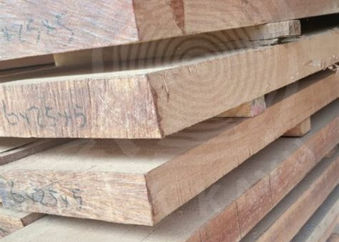 Harga Kayu Kruing Terbaru & Tips Membeli dengan Bijak di Indonesia