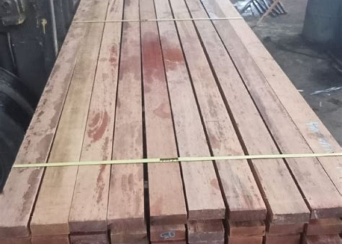 Harga Kayu Kruing Terbaru: Update Harga dan Faktor yang Mempengaruhi Harga Kayu Kruing Terbaru: Update Harga dan Faktor yang Mempengaruhi