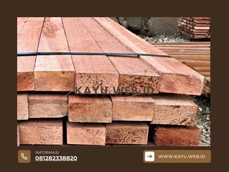 jenis kayu kruing