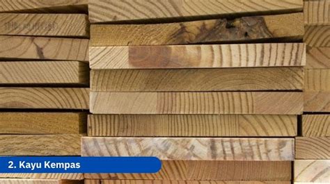kayu-kempas-kelas-berapa kayu kempas kelas berapa