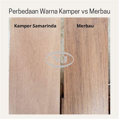 kayu-kempas-vs-kamper kayu kempas vs kamper