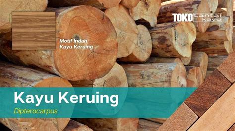 kayu-keruing kayu keruing