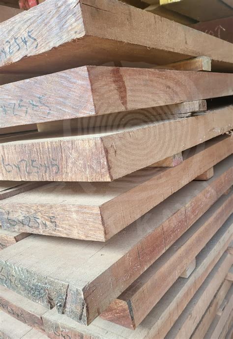 kayu kruing adalah