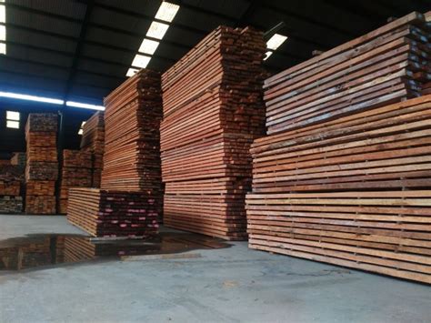 kayu kruing harga