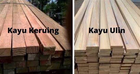 kayu kruing vs bengkirai