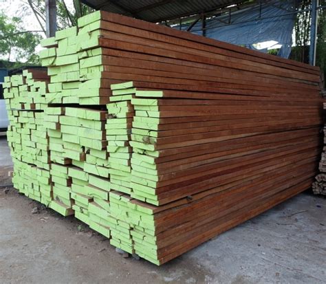kayu-kulim kayu kulim