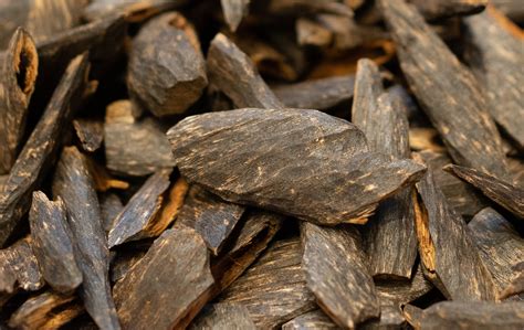 kayu termahal di dunia