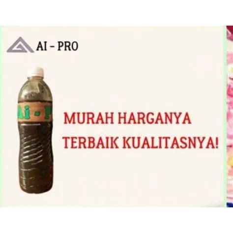 mahoni kruing kamper dan puspa