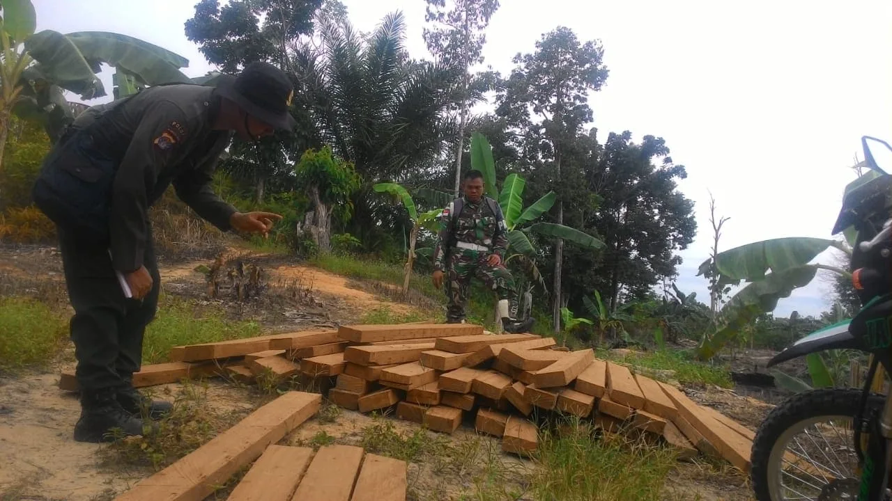 Prajurit Raja Alam Kembali Amankan Kayu dari Illegal Logging