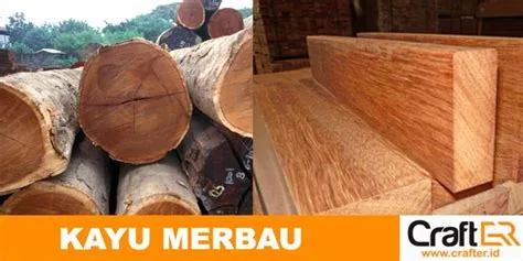 harga bak kayu merbau