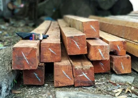 harga kayu merbau m3