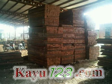harga-kayu-merbau-oven harga kayu merbau oven