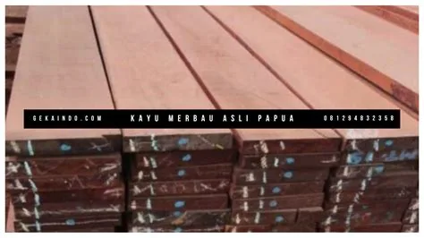 harga kayu merbau papua