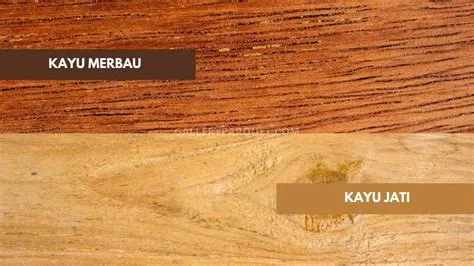 harga-kayu-merbau-vs-jati harga kayu merbau vs jati 1