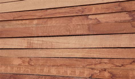 thqjual20kayu20damar20laut