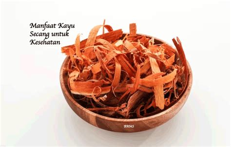 thqmanfaat20kulit20kayu20laban20untuk20kesehatan