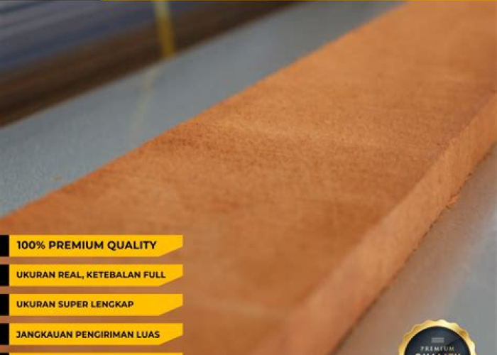 Bongkar Rahasia Harga Kayu Damar Laut per Batang: Proyek Impianmu Auto Cuan! Bongkar Rahasia Harga Kayu Damar Laut per Batang: Proyek Impianmu Auto Cuan!