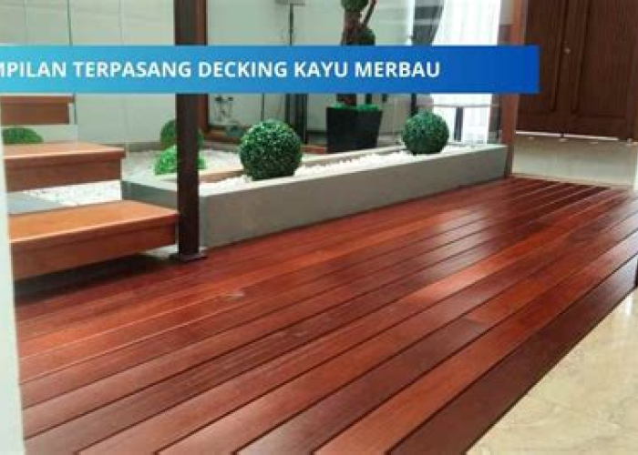 BREAKING NEWS! Bocoran Harga Kayu Merbau per M3 2025 di Indonesia: Jangan Sampai Nyesel Nggak Baca Ini!
