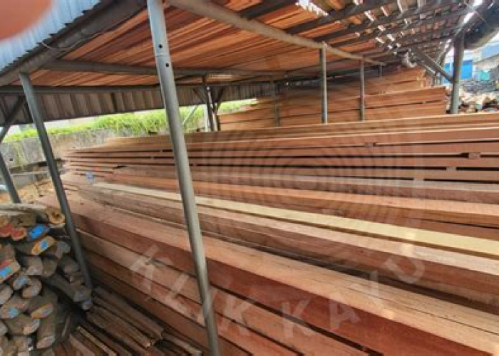 Jangan Sampai Kapalmu Karatan atau Busuk di Tengah Laut! Ini Rahasia Kayu Terbaik untuk ‘Si Apung’ Kesayanganmu!