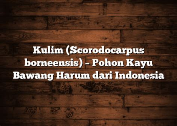 Kayu Bawang: Menguak Pesona dan Misteri Si Aroma Unik dari Rimba Nusantara