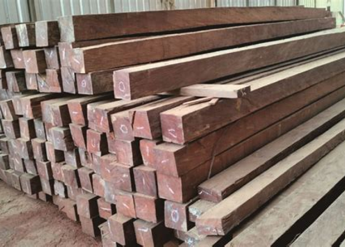 Mencari Jodoh Kayu Impianmu? Mari Menggali Dunia ‘Pusat Kayu’ yang Tak Sekadar Toko Material Biasa!