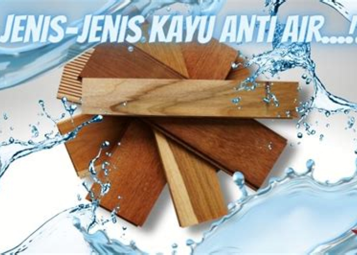 Mengungkap Rahasia Kayu Anti Air: Investasi Berharga untuk Kebaikan Jangka Panjang