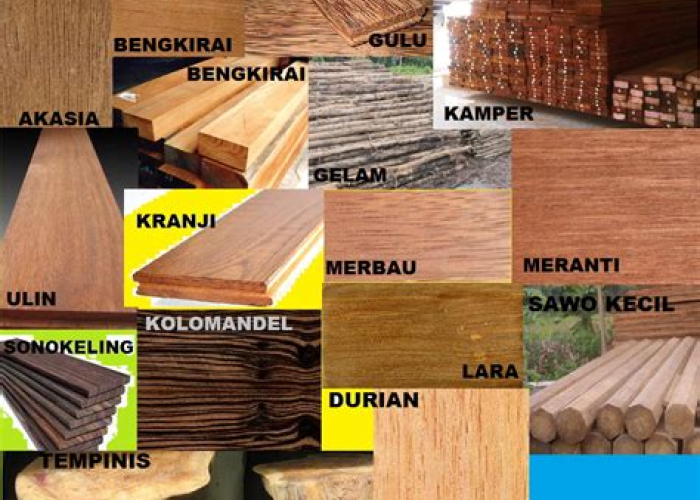 Riset Ungkap! Deretan Kayu Terkuat di Indonesia, Bikin Bangunanmu Kokoh Sampai Kiamat (Eh, Maksudnya Awet Banget!)