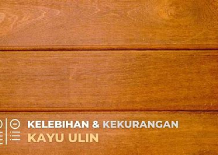 Terungkap! Cara Cerdas Menemukan Toko Kayu Ulin Terdekat untuk Proyek Impian Anda