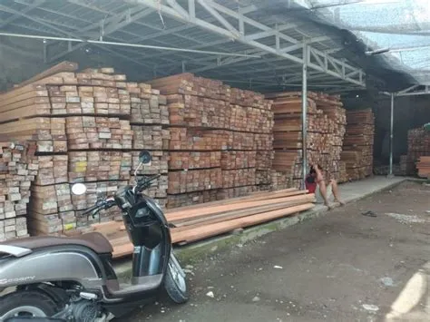 bosan kayu rapuh gampang lapuk jual kayu kalimantan investasi abadi untuk rumah impianmu
