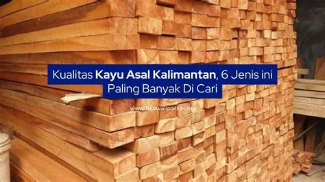 kayu-asal-kalimantan-1 kayu asal kalimantan 1